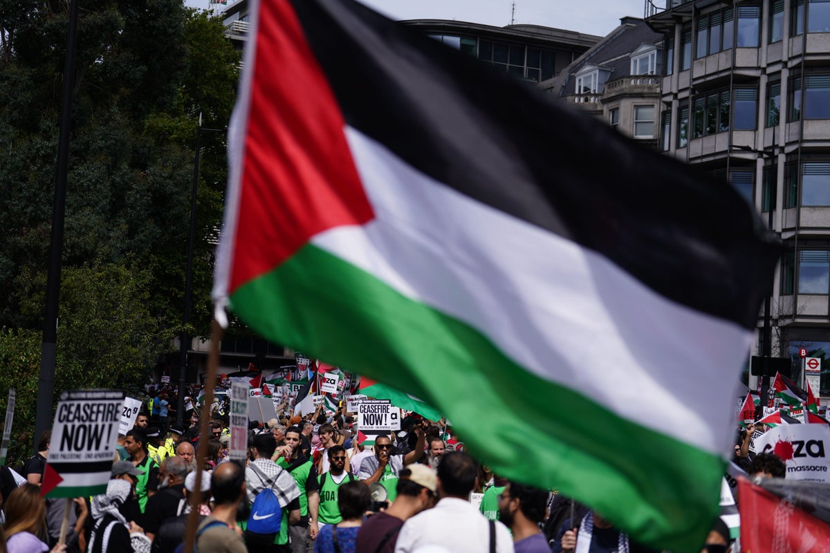 Map: The countries which recognise Palestine - as UK set to make historic move